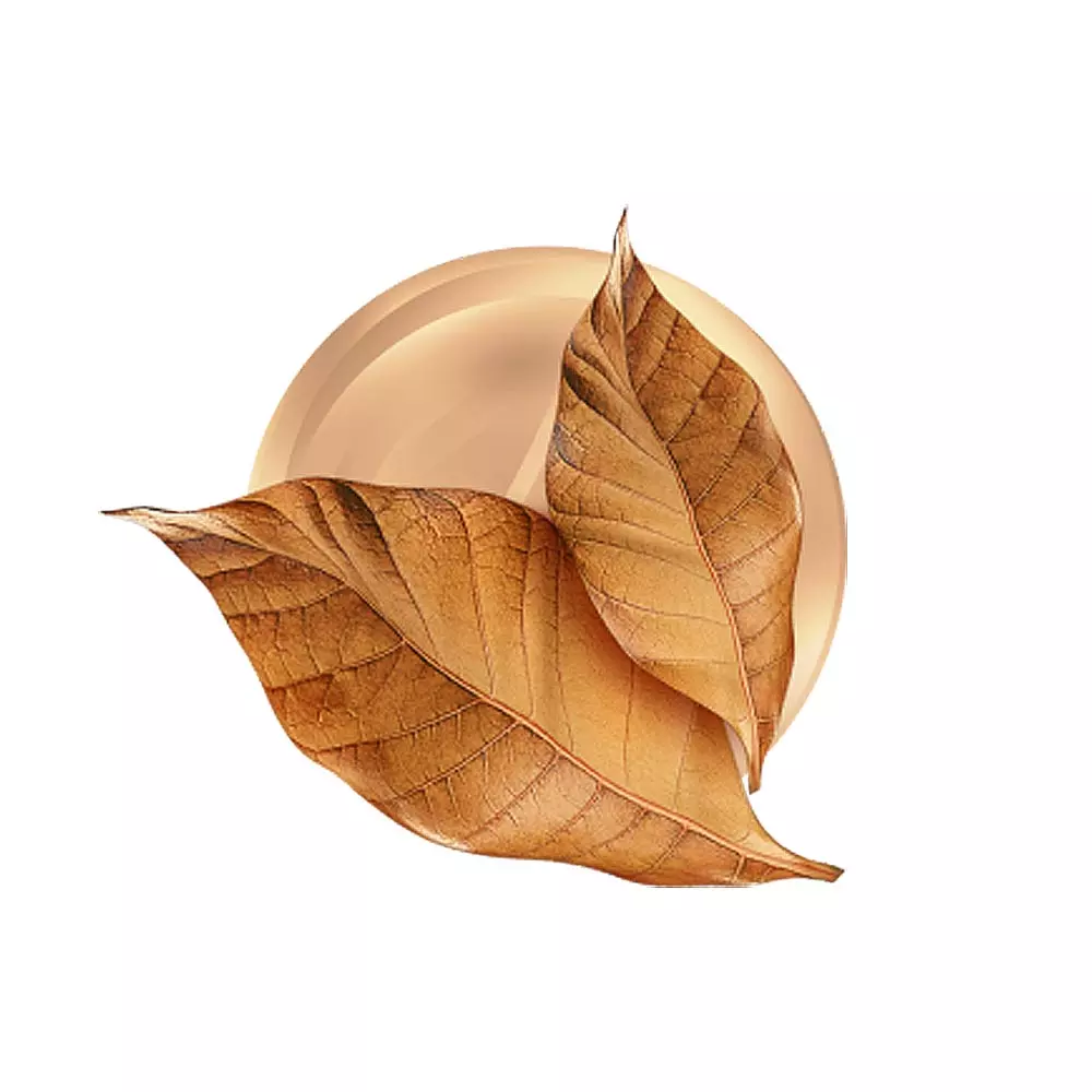 Kent Sticks - Rich Tobacco (10 packs)