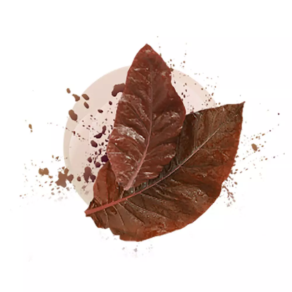 Kent Sticks - Classic Tobacco (10 packs)